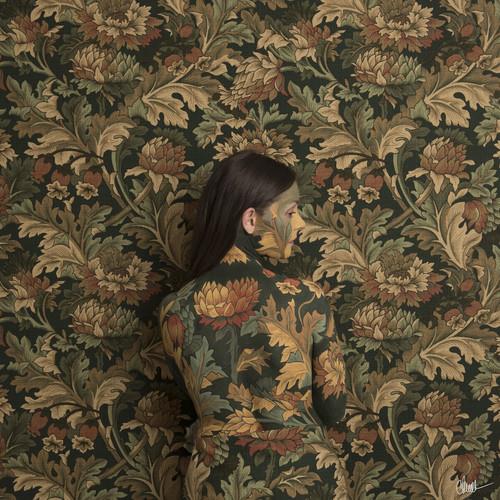 In Plain Sight - Vinyl LP 180 Gram (Black)