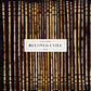 Beloved Exile - Vinyl LP