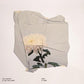 Safe & Sane - Vinyl LP