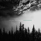 Evergreen - Vinyl LP