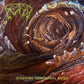 Steeping Corporeal Mess - Vinyl LP
