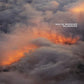 Palindrome - Vinyl LP