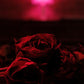 Roses - Vinyl LP