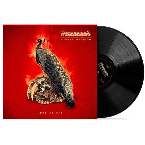 A Final Warning - Chapter One - Vinyl LP (Black)