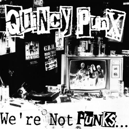 We're Not Punks...but We Play Them On Tv - Vinyl LP