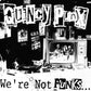 We're Not Punks...but We Play Them On Tv - Vinyl LP