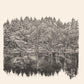 Unlit Trail - Vinyl LP