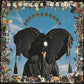 Goodbye Jumbo - Vinyl LP 180 Gram