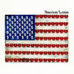 American Lesion (Blue Vinyl) - Vinyl LP (Blue)