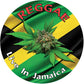 Reggae: Live In Jamaica (Various Artists) - Vinyl LP