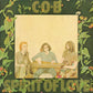 Spirit of Love - Vinyl LP