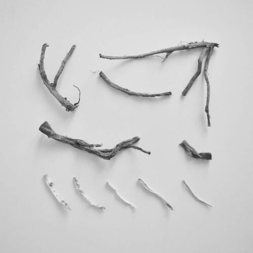These Charms May Be Sung Over A Wound - Vinyl LP