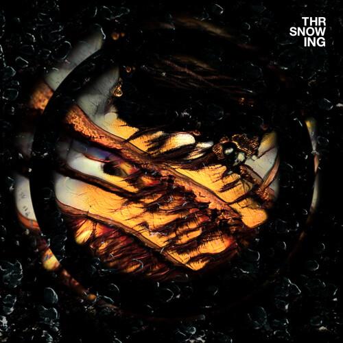 Dragons - Vinyl LP