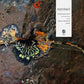 Natthall - Vinyl LP