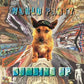 Dumbing Up - Vinyl LP