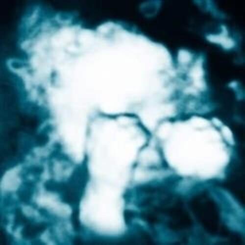 Nino Reptil Angel - Vinyl LP