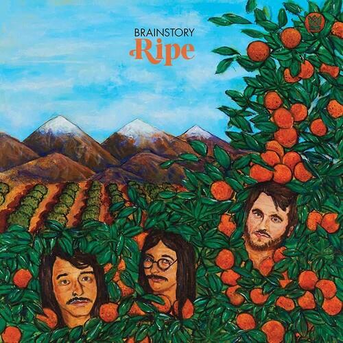 Ripe - 12-Inch Single