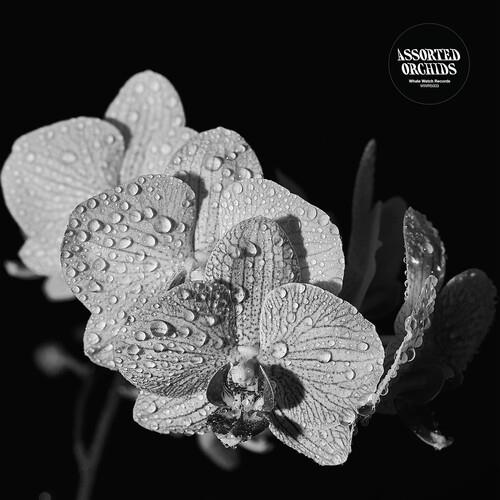 Assorted Orchids - Limited Edition Vinyl LP (White)