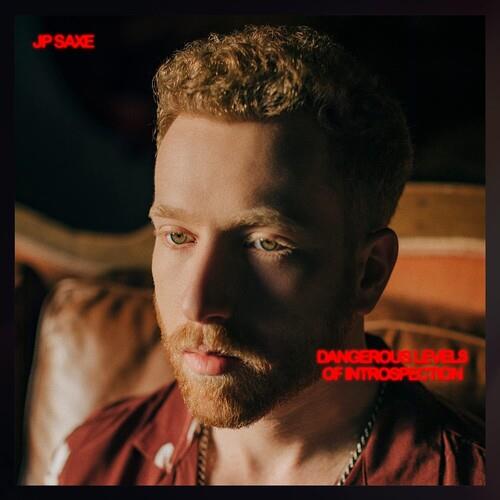 Dangerous Levels Of Introspection - Vinyl LP 150 Gram