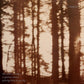 The Wind Is Strong - Marbled Smoke - Vinyl LP