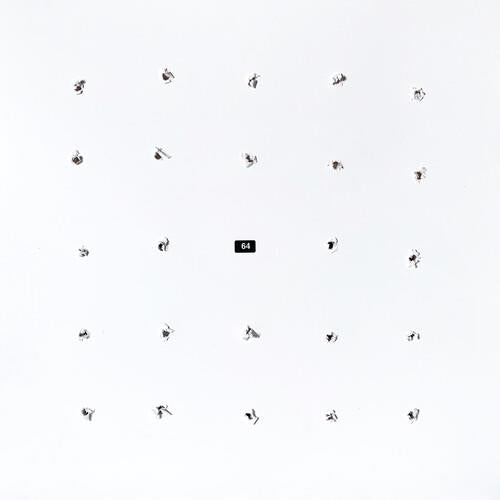 Split Series #24 - Vinyl LP