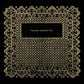 This Will Destroy You - Vinyl LP