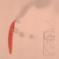 Our Savings - Vinyl LP