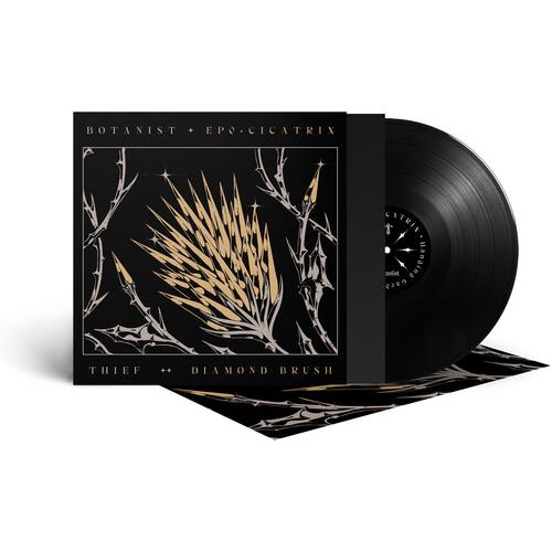 Cicatrix / Diamond Brush - Vinyl LP
