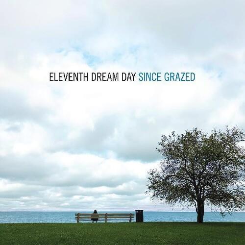 Since Grazed - Vinyl LP