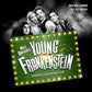Young Frankenstein (Original London Cast Recording) - Vinyl LP