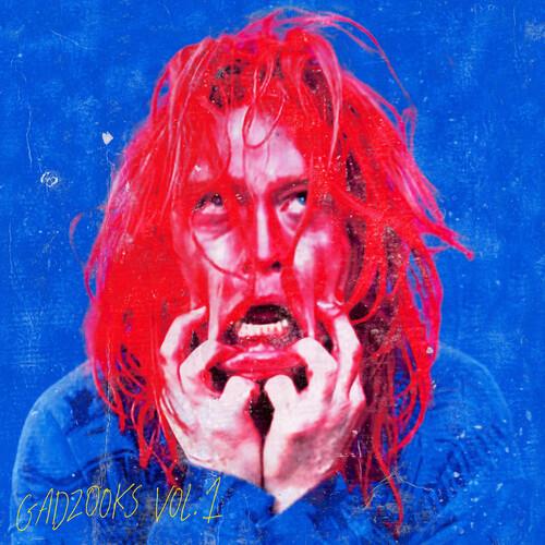 Gadzooks Vol. 1 - Vinyl LP