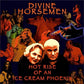 Hot Rise Of An Ice Cream Phoenix - Vinyl LP
