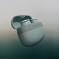 Bowers & Wilkins Pi6 In-Ear Bluetooth Wireless Earbuds (Forest Green)