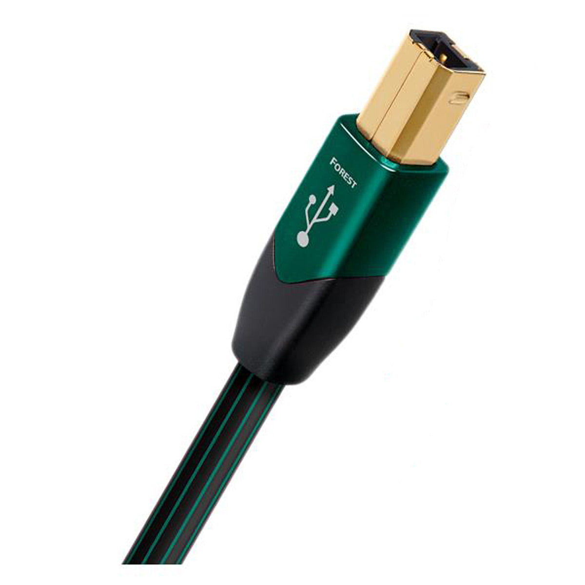 AudioQuest Forest USB A to USB B Cable - 4.92 ft. (1.5m)