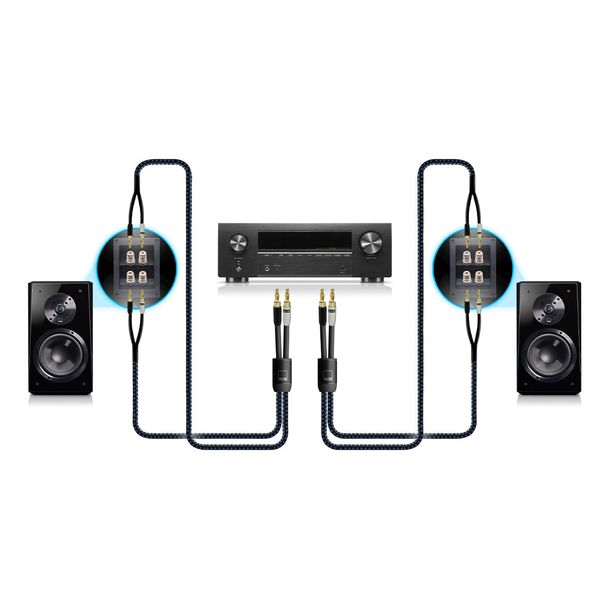 SVS SoundPath Ultra Bi-Wire Speaker Cable with Banana Plug – 10 ft.