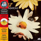Build Me Up Buttercup - Vinyl LP (Silver/Yellow)