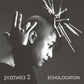 Echolocation (Natural Swirl Vinyl) - Vinyl LP