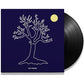 Exis - Vinyl LP