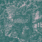 Un Paseo Por El Bosque - Vinyl LP