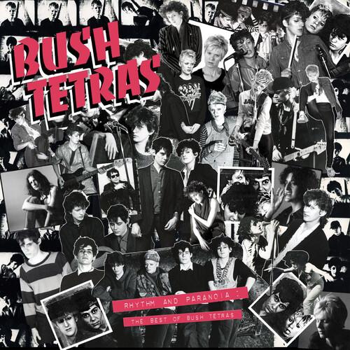 Rhythm & Paranoia: The Best of Bush Tetras - Vinyl LP