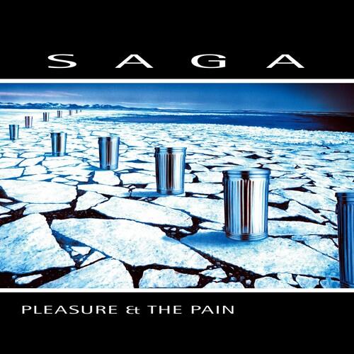 Pleasure And The Pain - Vinyl LP