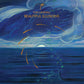 Beautiful Illusions - Vinyl LP