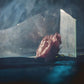 In Virus Times - Vinyl LP
