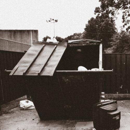 Dumpster Dive - Vinyl LP