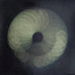 Crepuscule - Vinyl LP
