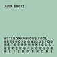 Heterophonious Fool - Vinyl LP