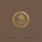 Collected Pieces: 2015-2020 (Gold Ripple) - Vinyl LP (Gold)