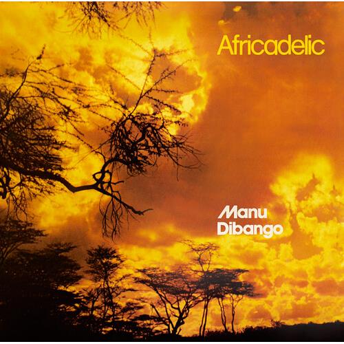 AFRICADELIC - Vinyl LP