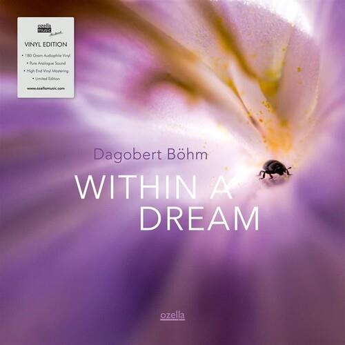 Within A Dream - Vinyl LP