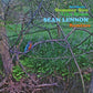 Summer Sun / Like Stone (sean Ono Lennon Remixes) - Vinyl LP